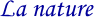 ���R�ɐG��ā@���₩�ȋC������